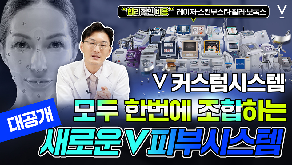 커스텀시스템 새로운v피부시스템